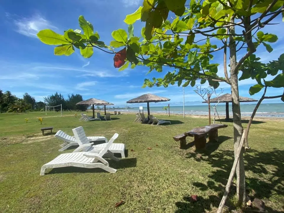 Deckchairs on a seaside lawn beneath leafy trees